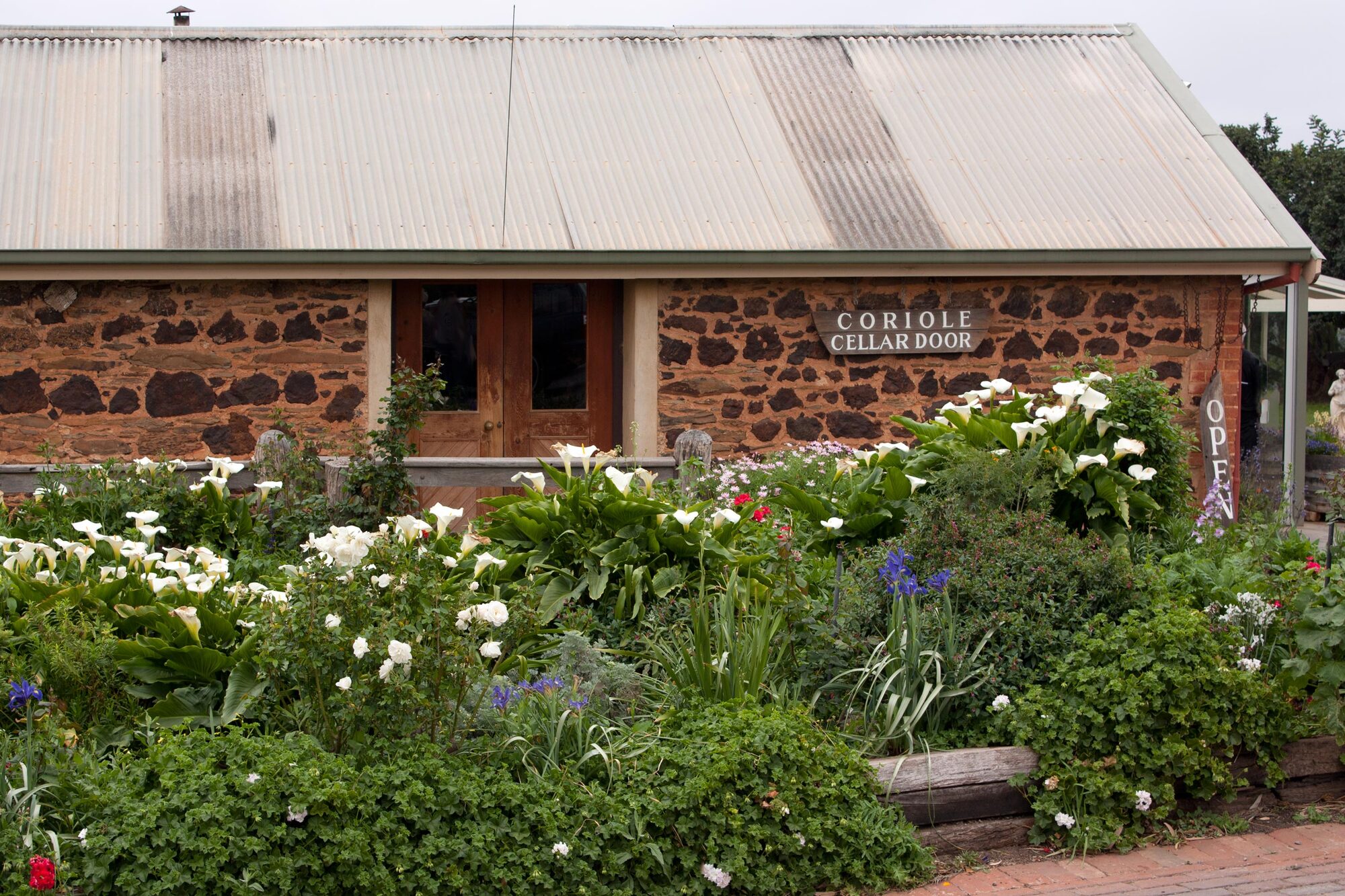 Sea & Vines Festival