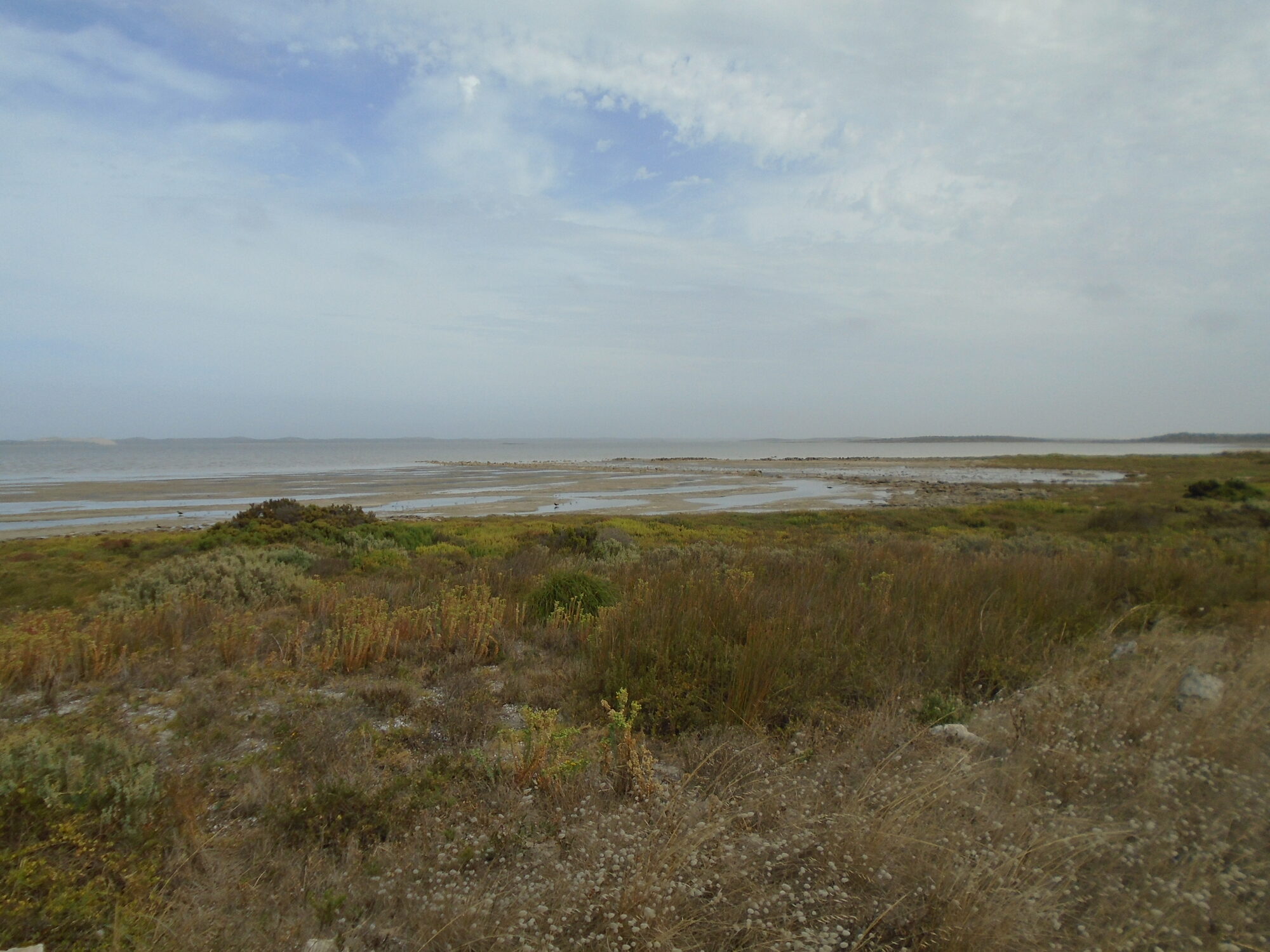 Coorong National Park
