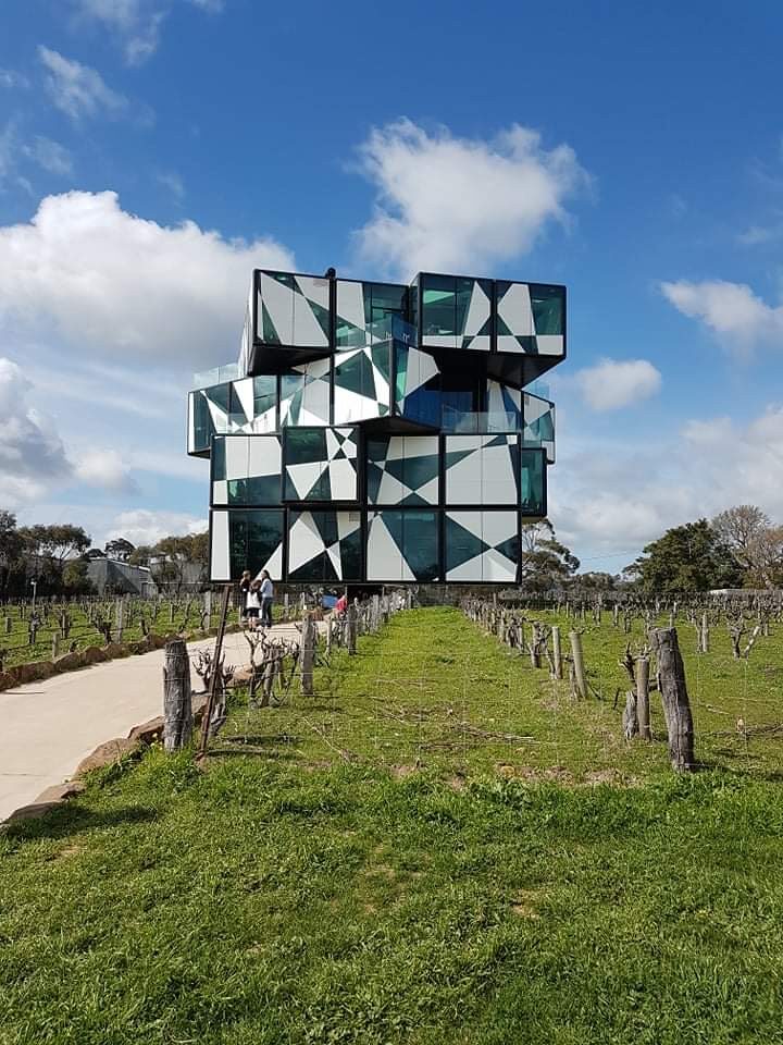 A non-drinker's day in McLaren Vale