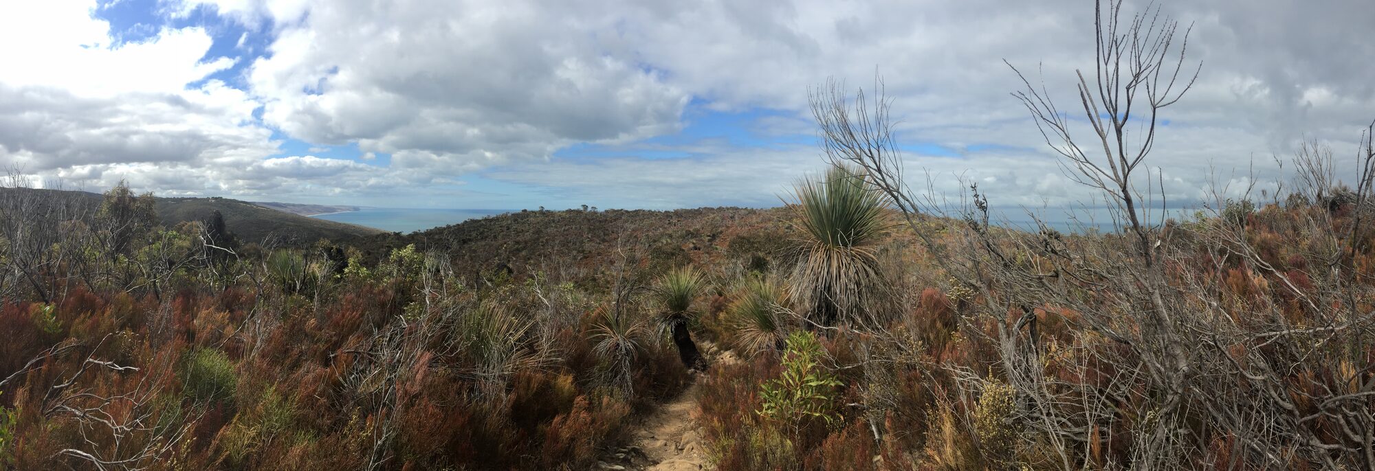 Top 10 Heysen Trail day hikes on the Fleurieu