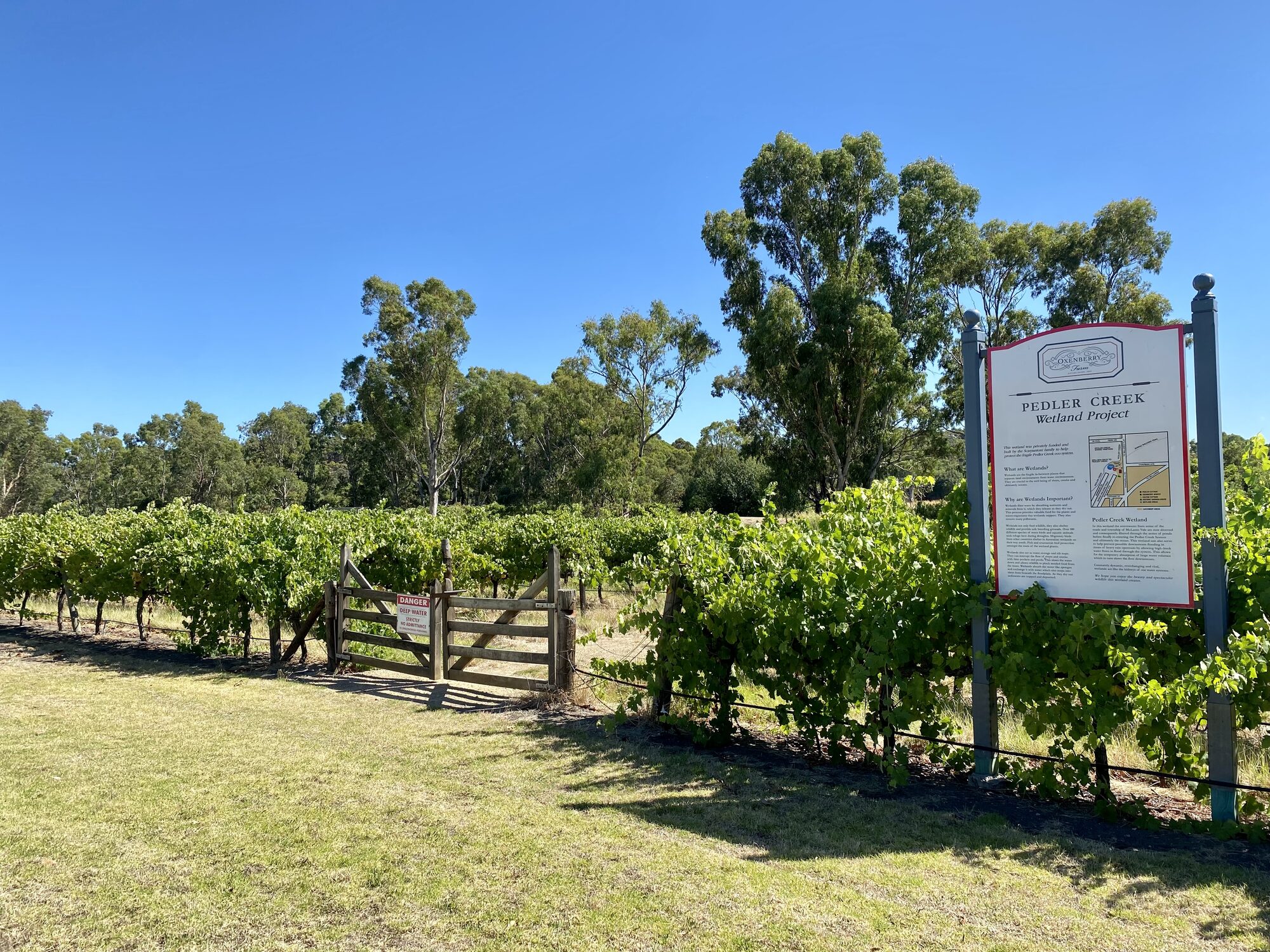 The Cornish slate miners of Willunga